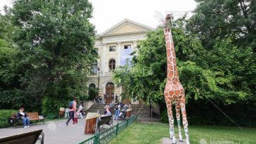 ‘Aventuri cu capibara’ – atelier pentru copii cu vârste între 4 și 6 ani, joi, la Muzeul ‘Antipa’