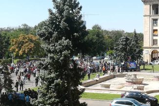 Protest al oierilor în fața ANSVSA; s-au folosit gaze lacrimogene