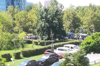Oierii au plecat spre Piața Victoriei