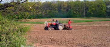 Guvern: Bugetul schemei de sprijin pentru motorina utilizată în agricultură, suplimentat cu peste 94 milioane de lei