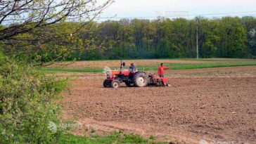 Guvern: Bugetul schemei de sprijin pentru motorina utilizată în agricultură, suplimentat cu peste 94 milioane de lei