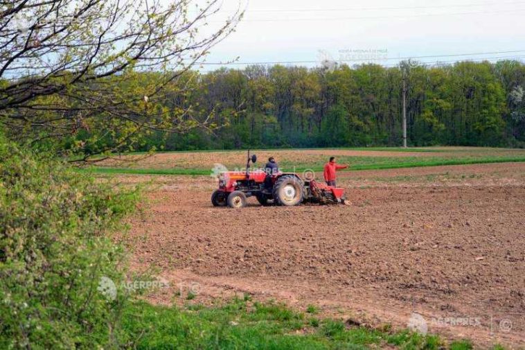 Guvern: Bugetul schemei de sprijin pentru motorina utilizată în agricultură, suplimentat cu peste 94 milioane de lei