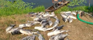 Maramureș: Balta ”Două Veverițe” va fi ecologizată și populată cu pește