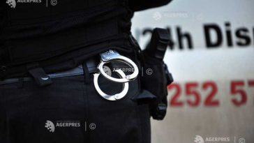 Brașov: Trei angajați silvici, reținuți de Poliție într-un dosar de furt de lemn