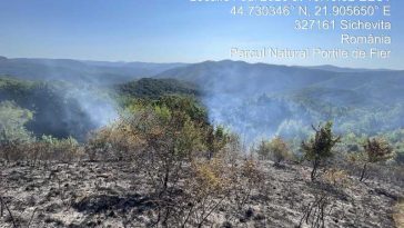 VIDEO Caraș-Severin: Elicopter și forțe suplimentare pentru stingerea incendiilor de la Sichevița și Berzasca