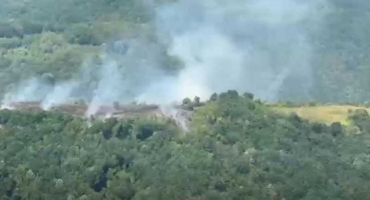 VIDEO Aproape 50 de hectare de teren, afectate de incendiile de vegetație din Caraș-Severin