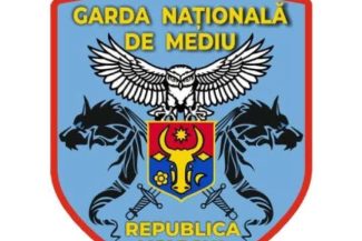 Un ONG din Republica Moldova reclamă că a găsit ”sute, ba chiar mii de permise de conducere româneşti” la o groapă de gunoi / Direcţia Permise: Simpla asemănare vizuală nu este suficientă pentru a confirma autenticitatea