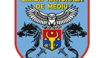 Un ONG din Republica Moldova reclamă că a găsit ”sute, ba chiar mii de permise de conducere româneşti” la o groapă de gunoi / Direcţia Permise: Simpla asemănare vizuală nu este suficientă pentru a confirma autenticitatea