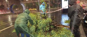 Bucureşti – Restricţii de circulaţie pe Bd. Basarabia, din cauza degradării unei galerii de termoficare / În urma ploilor abundente, structura galeriei s-a surpat / Intersecţii cu deficienţe