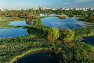 Primăria Bucureşti pregăteşte Centura Verde a Capitalei – O succesiune de suprafeţe împădurite în zone din Bucureşti şi Ilfov, pe aproximativ 250 de hectare