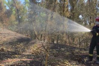Un nou contingent de pompieri români pleacă în Franţa pentru a ajuta la stingerea incendiilor de pădure de ”amploare excepţională”