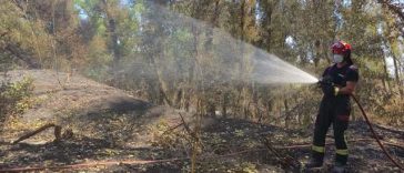 Un nou contingent de pompieri români pleacă în Franţa pentru a ajuta la stingerea incendiilor de pădure de ”amploare excepţională”