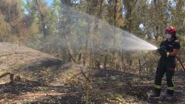 Un nou contingent de pompieri români pleacă în Franţa pentru a ajuta la stingerea incendiilor de pădure de ”amploare excepţională”