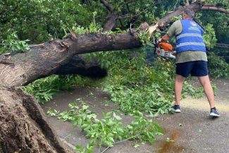 Rareş Hopincă: Vremea extremă a produs pagube în Sectorul 2 / 25 de arbori doborâţi de vânt, mulţi dintre ei căzuţi pe carosabil / S-a decis prelungirea termenului de depunere a cererilor de despăgubire de la 72 de ore la 10 zile
