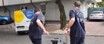 ASPA Bucureşti: 127 de câini capturaţi în doar 20 de zile / Un lucru îngrijorează însă de fiecare dată: aproape jumătate dintre câinii ajunşi în adăposturi sunt pui