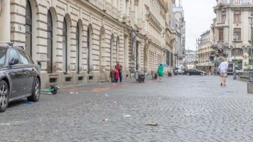 Primăria Bucureşti, după ce au fost semnalaţi şobolani în Capitală: Pentru ca deratizarea să funcţioneze, e necesară menţinerea curăţeniei, gestionarea mai eficientă a deşeurilor, igienizarea clădirilor şi a terenurilor abandonate – FOTO / VIDEO