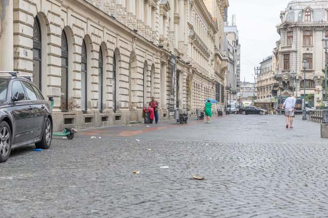 Primăria Bucureşti, după ce au fost semnalaţi şobolani în Capitală: Pentru ca deratizarea să funcţioneze, e necesară menţinerea curăţeniei, gestionarea mai eficientă a deşeurilor, igienizarea clădirilor şi a terenurilor abandonate – FOTO / VIDEO