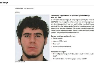 Suspectul care a intrat cu maşina în mulţimea de la parada Gay Pride din Berlin a fost identificat. El are 21 de ani