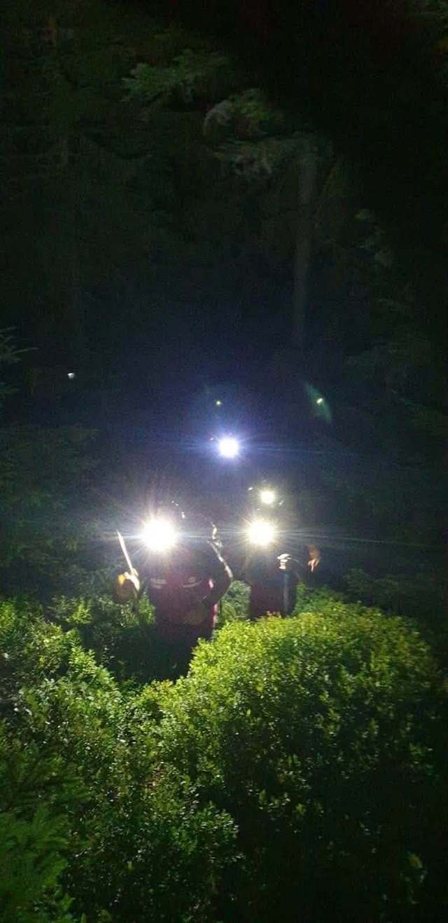 Bihor: Intervenţii ale Salvamont pentru recuperarea unor turişti aflaţi în dificultate în zonele Padiş şi Stâna de Vale – FOTO