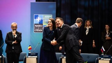 Oana Ţoiu, la Summitul NATO de la Ankara: Mandatul, întărirea capacităţii de descurajare şi apărare pe Flancul Estic, întărirea securităţii maritime la Marea Neagră şi promovarea rolului României ca aliat de încredere