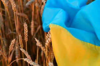 Navele evită porturile ucrainene de cereale în urma atacurilor ruseşti / Ucraina a solicitat convocarea unei reuniuni a Consiliului de Securitate al ONU pe 27 iulie