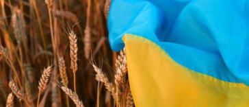 Navele evită porturile ucrainene de cereale în urma atacurilor ruseşti / Ucraina a solicitat convocarea unei reuniuni a Consiliului de Securitate al ONU pe 27 iulie