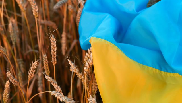 Navele evită porturile ucrainene de cereale în urma atacurilor ruseşti / Ucraina a solicitat convocarea unei reuniuni a Consiliului de Securitate al ONU pe 27 iulie