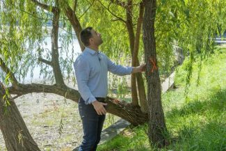 Ciucu, după ce „a luat la pas” Parcul Herăstrău, aflat în proces de reamenajare: „Ne pasă foarte mult de arborii de pe malul lacului. Strategia va fi să evaluăm fiecare copac în parte şi să aplicăm soluţii personalizate
