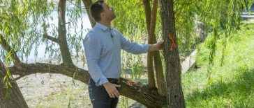 Ciucu, după ce „a luat la pas” Parcul Herăstrău, aflat în proces de reamenajare: „Ne pasă foarte mult de arborii de pe malul lacului. Strategia va fi să evaluăm fiecare copac în parte şi să aplicăm soluţii personalizate
