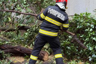 Intervenţii în Bucureşti, pentru îndepărtarea copacilor căzuţi din cauza furtunii / Un arbore a căzut peste o maşină, altul, pe firele de alimentare cu energie electrică
