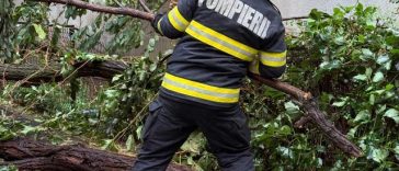 Intervenţii în Bucureşti, pentru îndepărtarea copacilor căzuţi din cauza furtunii / Un arbore a căzut peste o maşină, altul, pe firele de alimentare cu energie electrică