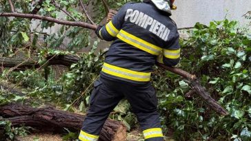 Intervenţii în Bucureşti, pentru îndepărtarea copacilor căzuţi din cauza furtunii / Un arbore a căzut peste o maşină, altul, pe firele de alimentare cu energie electrică