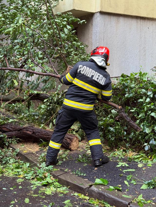 Intervenţii în Bucureşti, pentru îndepărtarea copacilor căzuţi din cauza furtunii / Un arbore a căzut peste o maşină, altul, pe firele de alimentare cu energie electrică