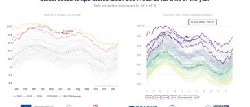 Copernicus: Temperaturile zilnice globale ale suprafeţei mării au depăşit recordurile pentru această perioadă a anului / Specialiştii avertizează că El Niño va atinge niveluri ”nemaiîntâlnite de zeci de ani”