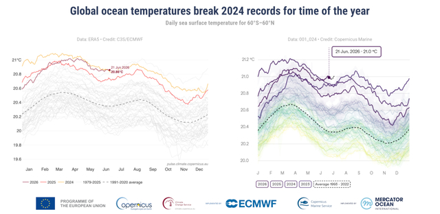 Copernicus: Temperaturile zilnice globale ale suprafeţei mării au depăşit recordurile pentru această perioadă a anului / Specialiştii avertizează că El Niño va atinge niveluri ”nemaiîntâlnite de zeci de ani”