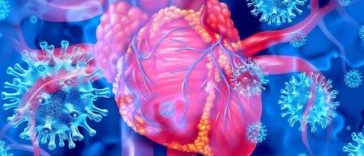 Un efect neaşteptat al gumei de mestecat, observat într-un studiu asupra tensiunii arteriale