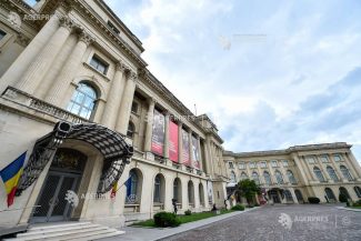 MNAR: Tur ghidat pe 17 iulie, în expoziția ‘Brâncuși. Sindromul’