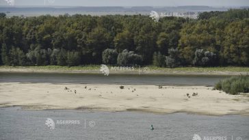 Mehedinți: Vas de croazieră cu 186 de pasageri, eșuat pe Dunăre în zona Salcia; navigația nu este afectată