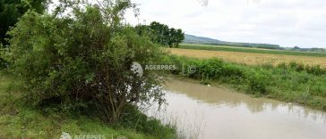 Cod portocaliu de inundații în șase județe și Cod galben de inundații în 22 de județe până luni la prânz (hidrologi)