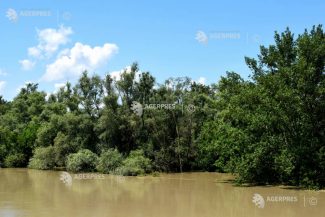 INHGA: Cod galben de inundații în 10 bazine hidrografice și pe râurile din Dobrogea, până luni la prânz