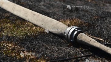 Dolj: Incendiu de amploare la Maglavit; au ars 20 ha vegetație uscată și gunoaie din curți