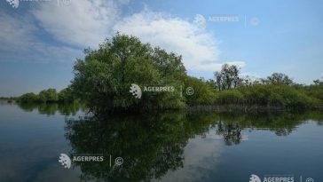Tulcea: Restricții în Deltă, din cauza cotelor scăzute ale Dunării