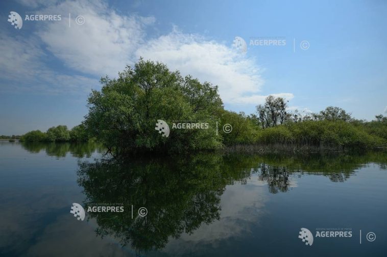 Tulcea: Restricții în Deltă, din cauza cotelor scăzute ale Dunării