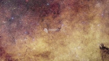 Cei mai vechi quasari observați vreodată în Univers, descoperiți cu ajutorul telescopului spațial Euclid