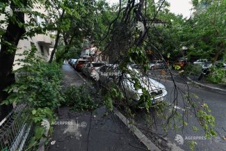 PMB: Peste 100 de copaci căzuți pe trotuar în Sectorul 1; un număr de 50 de autoturisme avariate în Sectorul 5