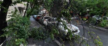 PMB: Peste 100 de copaci căzuți pe trotuar în Sectorul 1; un număr de 50 de autoturisme avariate în Sectorul 5