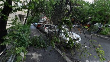 PMB: Peste 100 de copaci căzuți pe trotuar în Sectorul 1; un număr de 50 de autoturisme avariate în Sectorul 5