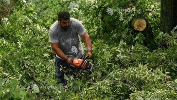 IGSU – bilanțul furtunii din Capitală: peste 1.000 de copaci căzuți; 456 de mașini avariate