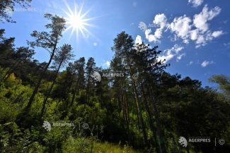 Cod galben de caniculă, joi, în opt județe din vestul, sud-vestul și nord-vestul României
