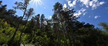 Cod galben de caniculă, joi, în opt județe din vestul, sud-vestul și nord-vestul României